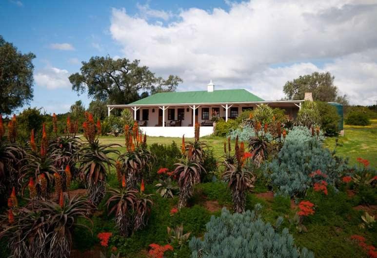 Lodge Leeuwenbosch Shearers - Amakhala Game Reserve