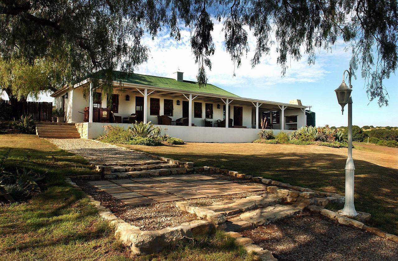 Lodge Leeuwenbosch Shearers - Amakhala Game Reserve *